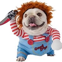 Pet Deadly Doll Dog Costume, Cosplay Halloween Funny Clothes